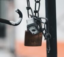 Secure WordPress Website — Secure WordPress Website: 10 Essential Steps for Protection — Photo by Erik Mclean on Pexels
