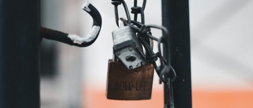 Secure WordPress Website — Secure WordPress Website: 10 Essential Steps for Protection — Photo by Erik Mclean on Pexels